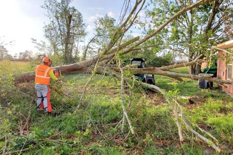 OG体育 commercial disaster solutions crew clearing tree debris in Lake Charles, LA