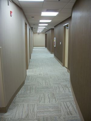 Carpet 1.JPG