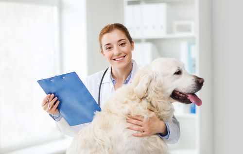 Pet hot sale care pharmacy