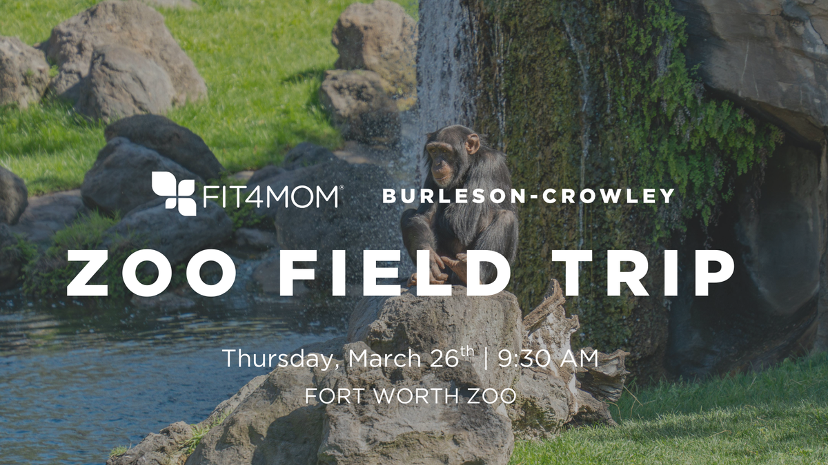 MAR 26 Zoo Field Trip.png