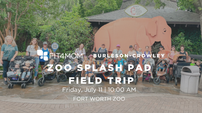 July 11 Zoo Splash Pad.png