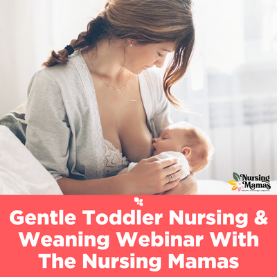 Gentle Toddler Nursing & Weaning Webinar With The Nursing Mama POST Jan 18 2023.png