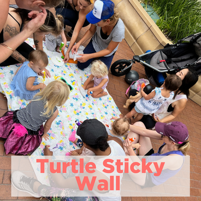 Turtle Sticky Wall POST Sept 11 2023.png