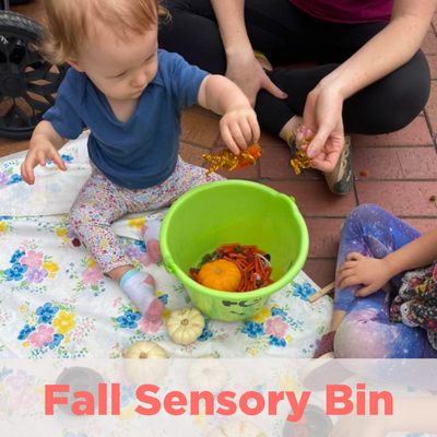 Fall Sensory Bin POST Oct 6 2023.png