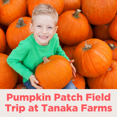 Pumpkin Patch Field Trip at Tanaka Farms POST Sep 28 2023.png