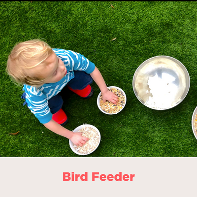 Bird Feeder POST March 20 2023.png