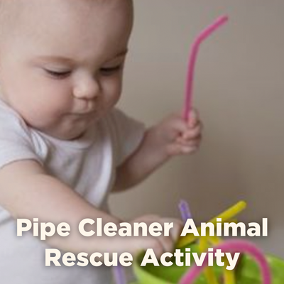 Pipe Cleaner Animal Rescue Activity POST June  9 2023.png