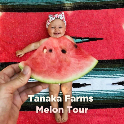 Tanaka Farms Melon Tour POST July 25 2023.png
