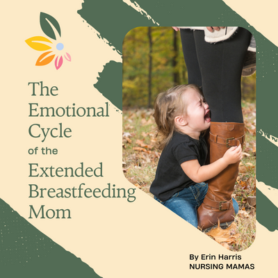 The Emotional Cycle of the Extended Breastfeeding Mom.png