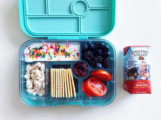 BACK-TO-SCHOOL LUNCHBOX IDEAS FOR THE BUSY FAMILY.png