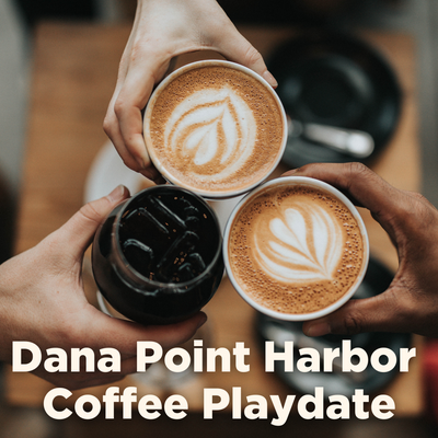Dana Point Harbor Coffee Playdate POST Nov 6 2023.png