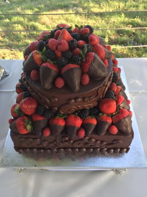 Custom Chocolate Fudge cake mixed berries and raspberry filling.jpeg