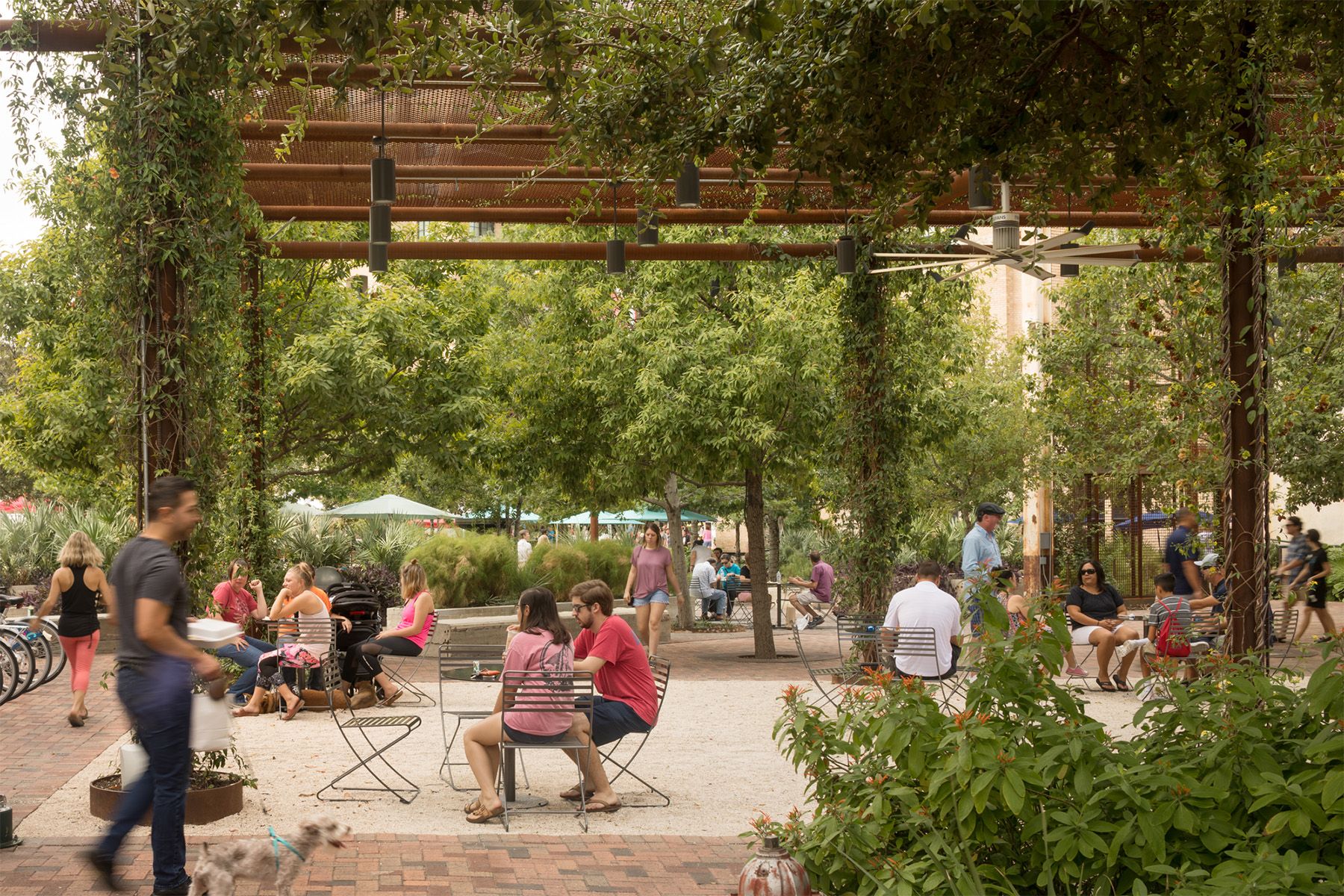 THE PLAZA & THE CELLARS AT PEARL BREWERY