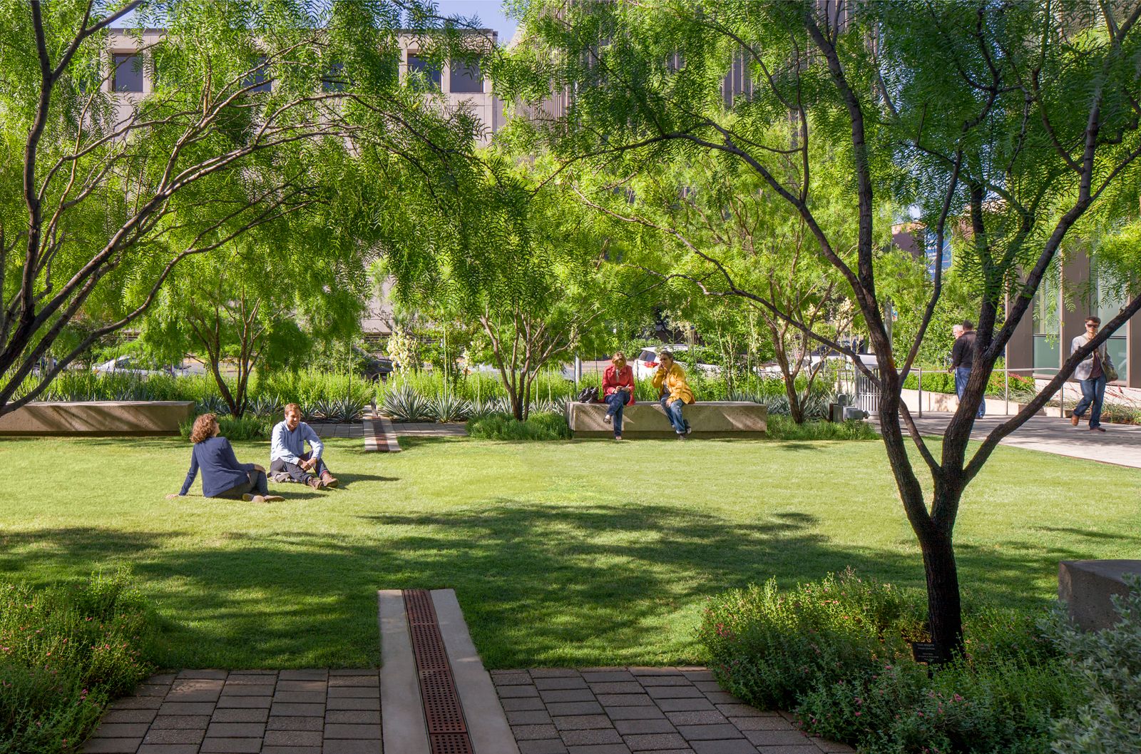 THE UNIVERSITY OF TEXAS AT AUSTIN G. B. DEALEY CENTER FOR NEW MEDIA
