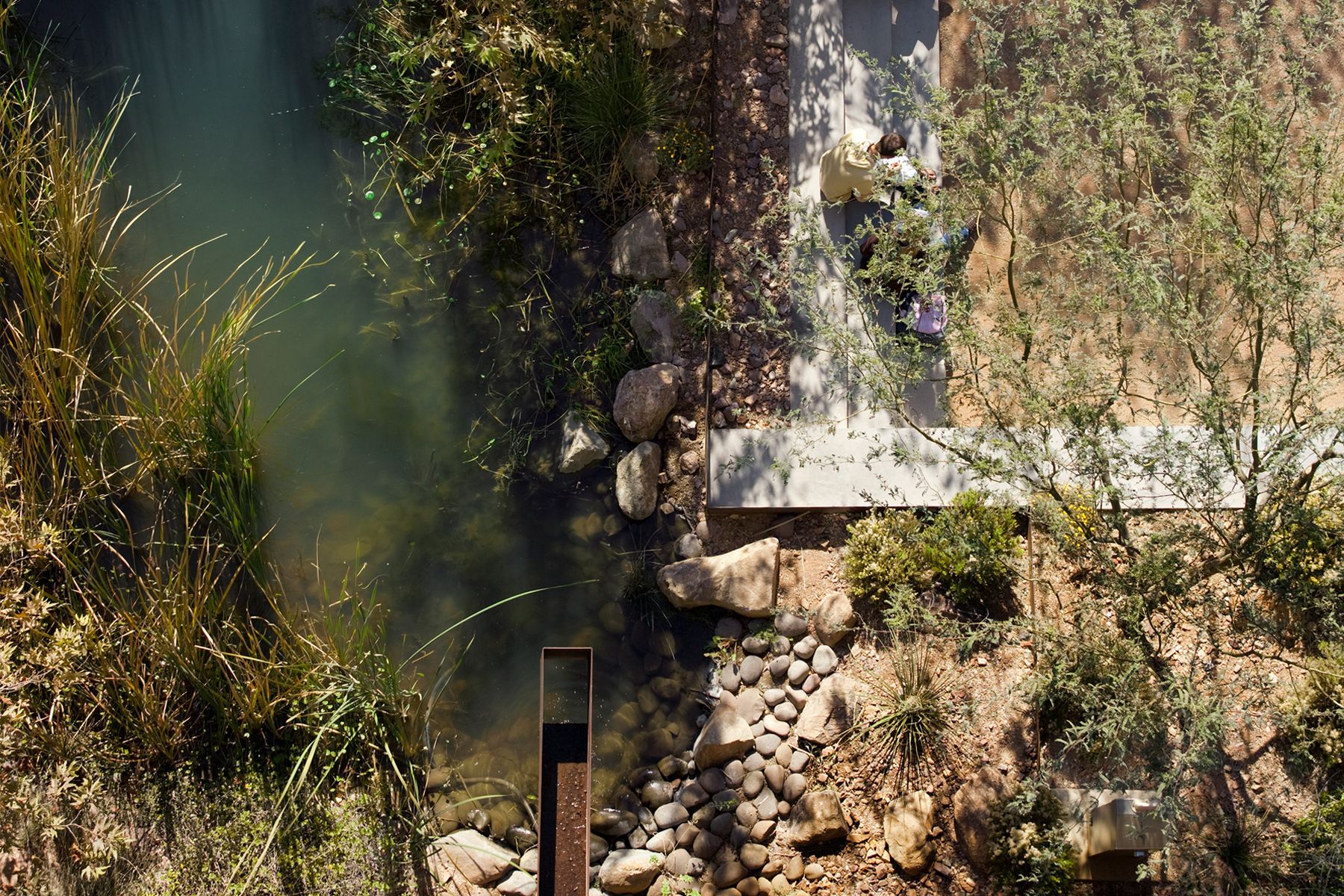 THE UNIVERSITY OF ARIZONA UNDERWOOD FAMILY SONORAN LABORATORY