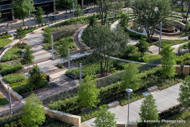 Healing Garden