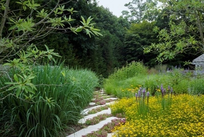 2017 Landscape Pleasures.jpg