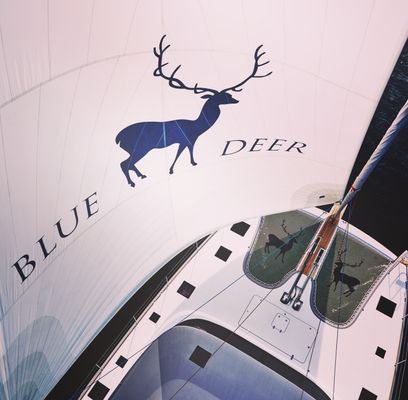 The Blue Deer