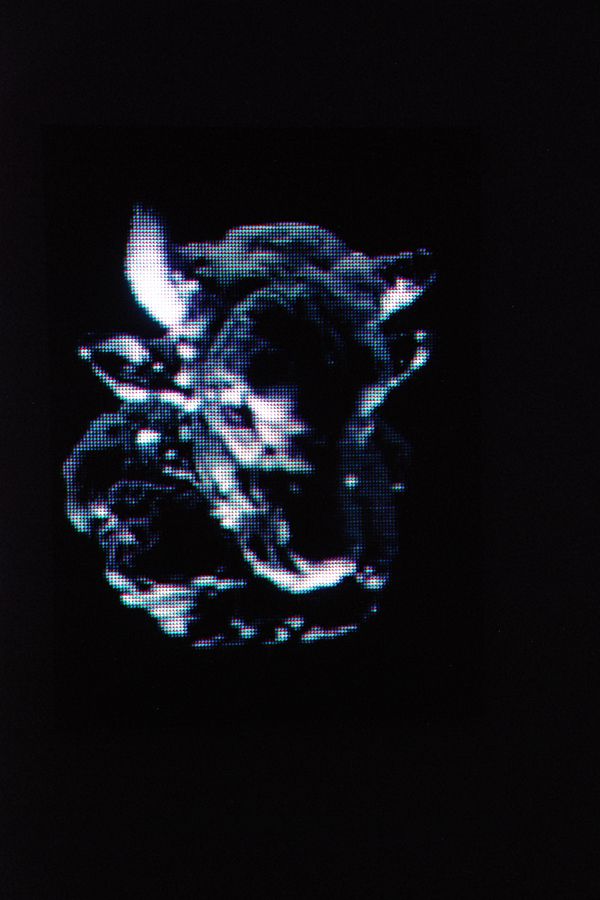 detail from video installation, Arsenale