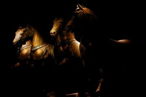 Nigliazzo, quattro cavalli