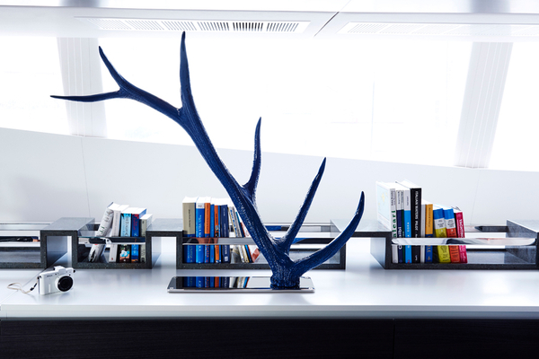 Blue Deer features 1.jpg