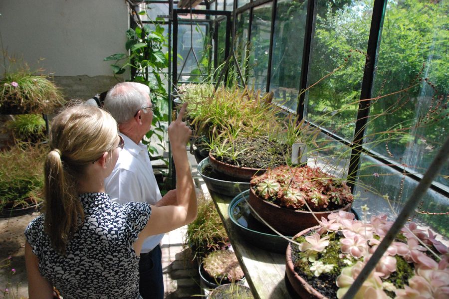 Padova's Orto Botanico.jpg