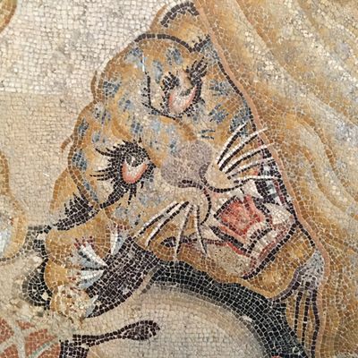 Napoli Archaeological Museum mosaic