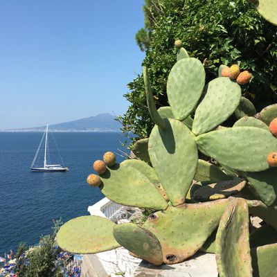 The view from Gio Ponte's Parco dei Principi Sorrento