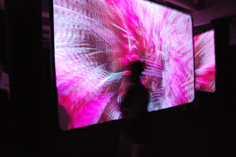 Video installation, Biennale