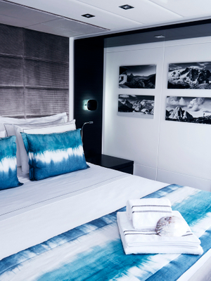 Blue Deer features 8.jpg
