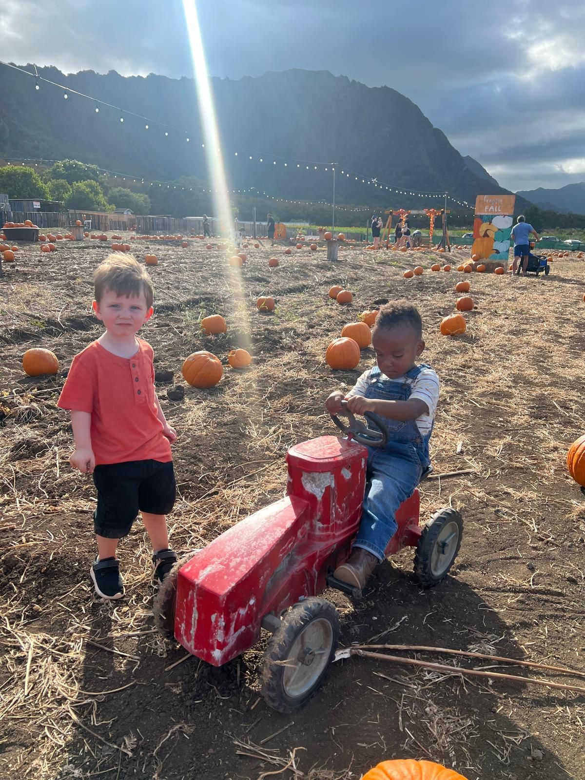 waimanalo country farms, oahu, kids, things to do oahu, honolulu, pumpkins, pumpkin patch