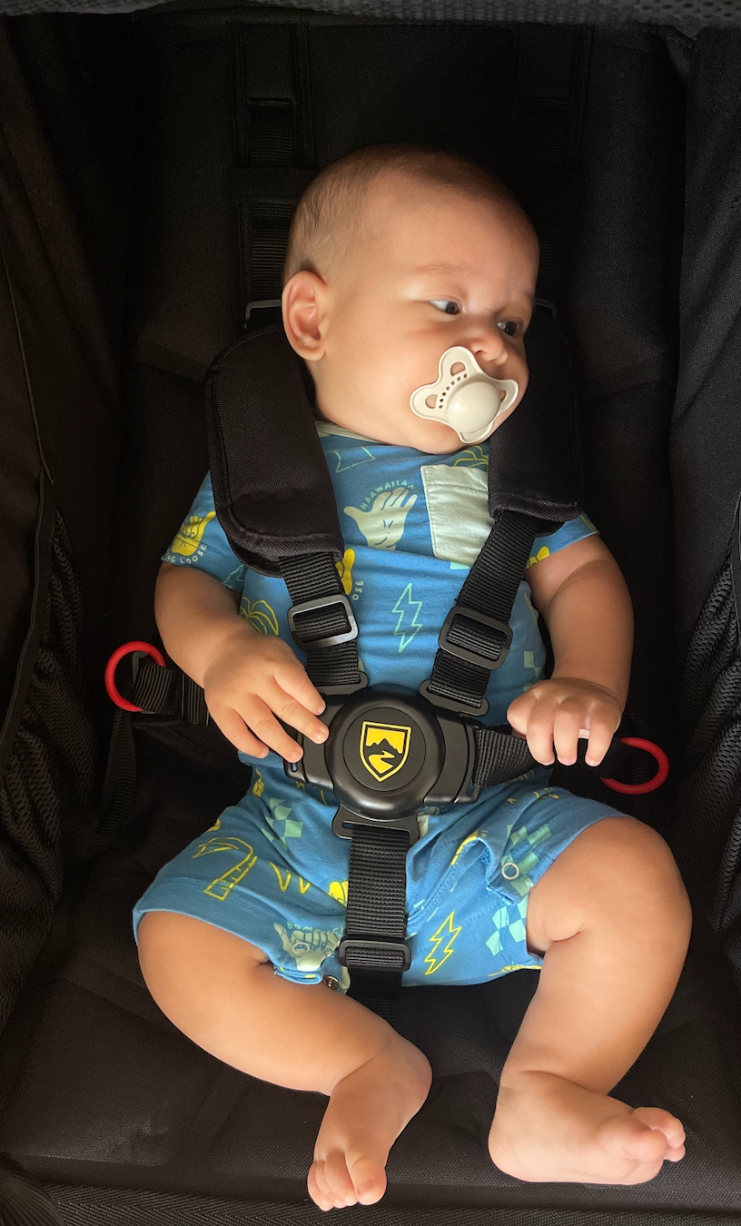 stroller safety honolulu sleep consultant 