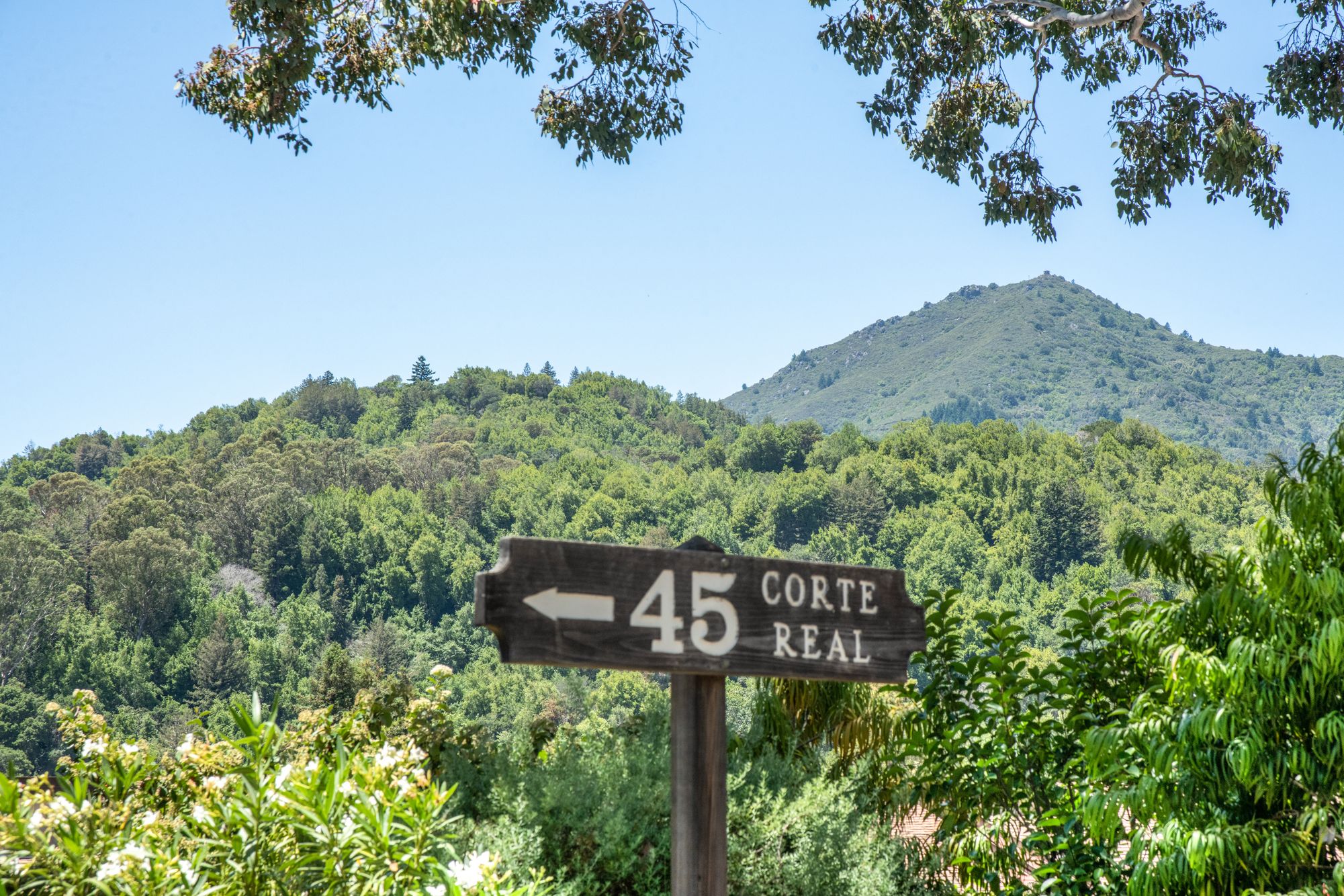 Corte Real, Greenbrae