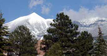 Peaks-n-Trees.jpg