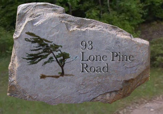 Killbear pine rock.JPG