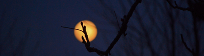 2018-03 - Moon Night 5.jpg