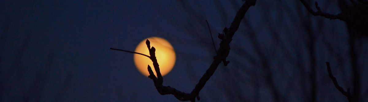 2018-03 - Moon Night 5.jpg