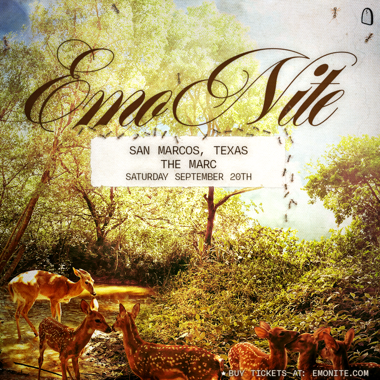 9-20 SAN MARCOS_1350x1350.png