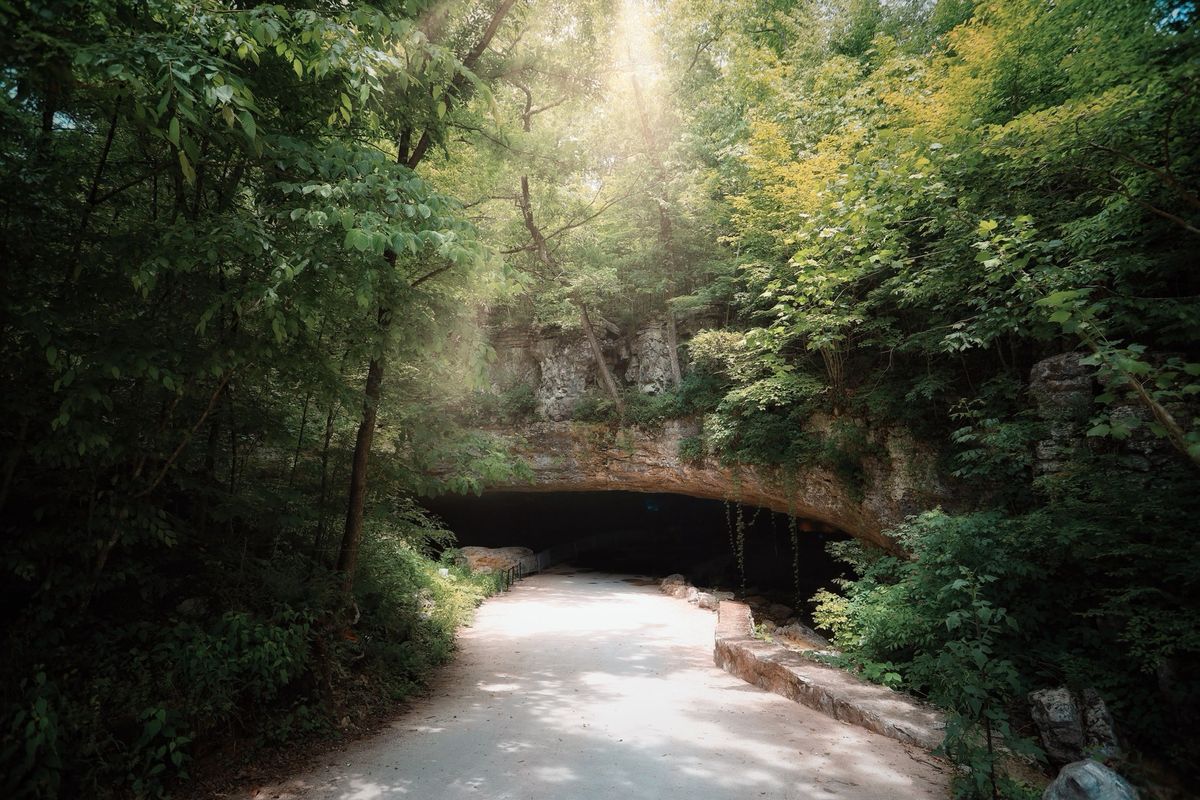 CaveFest at The Caverns, October 8 & 9, 2022 - The Caverns