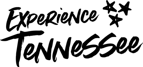 Experience TN logo.png