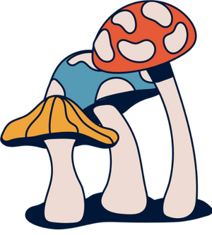 Cavefest 2025 Mushroom Bundle A 500px.png