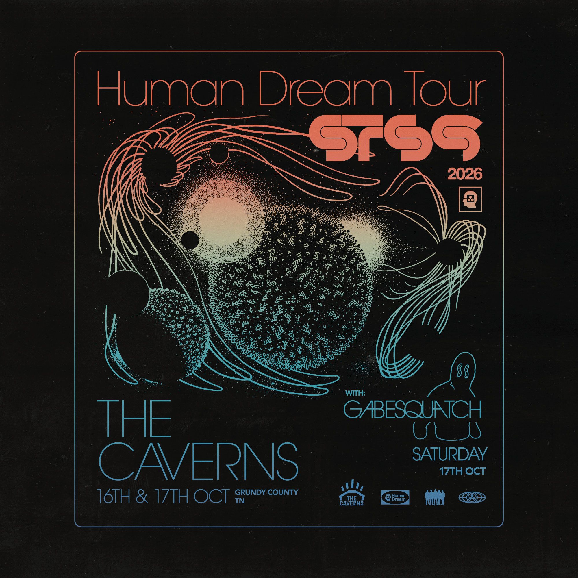 STS9-Caverns-2026-Admat-Final-1-1 LZ.jpg