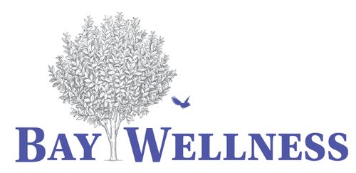 Bay Wellness Logo.jpeg