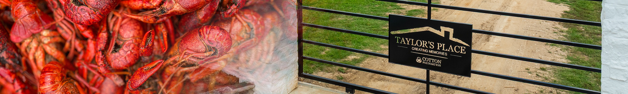 HLDS_Taylors-Place-Crawfest_HEADER.png