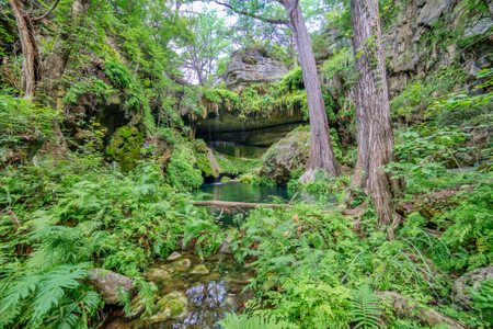 Westcave Preserve Grotto in June 2017. Access to the canyon is by Guided Tour only. Photo by Tom Hausler Tom Hausler_Grotto_062817_2.jpg