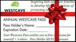 Annual Pass - Gift wrapped.png