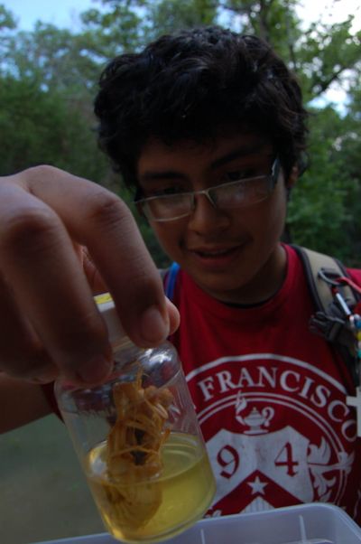 at El Ranchito Summer Camp, near Austin, TX Creatures to investigate