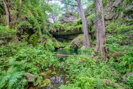 Westcave's Lush Grotto