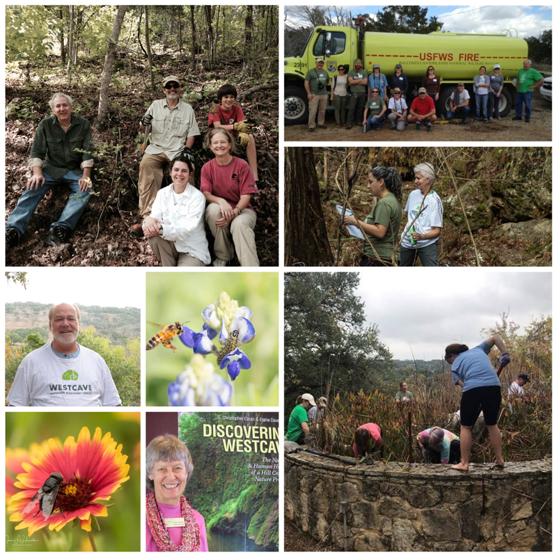 Westcave Volunteers Nurture the Nature at Westcave Preserve. Thank you volunteers! Volunteers