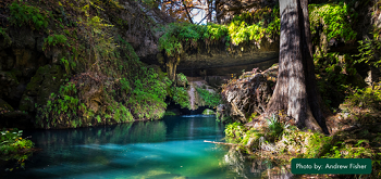 Emerald Pool Grotto